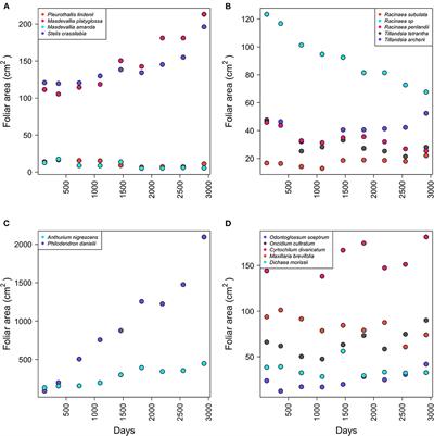 Surviving in a new host: Eight years of monitoring translocated aroids, bromeliads, and orchids in the Andean forests in Colombia